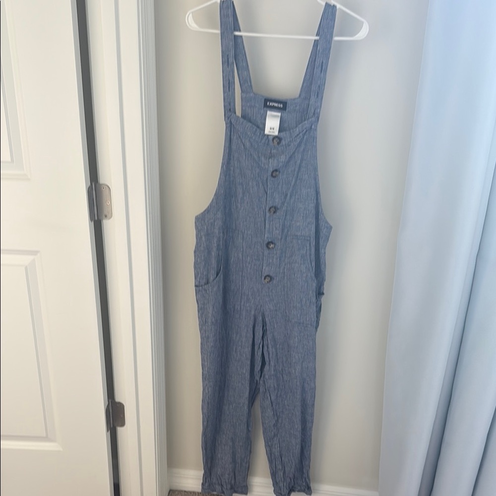 Express Blue Denim Overalls
